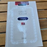 Opere vol.I - Gellu Naum