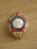QW9 N 90 - insigna - militar - Polonia - Vzorny vojak, Europa