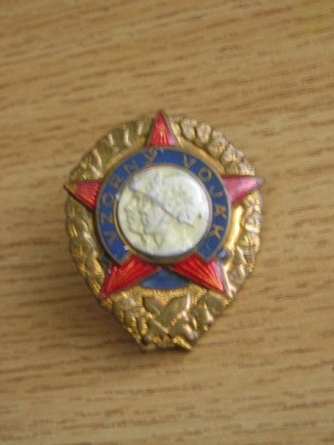 QW9 N 90 - insigna - militar - Polonia - Vzorny vojak foto
