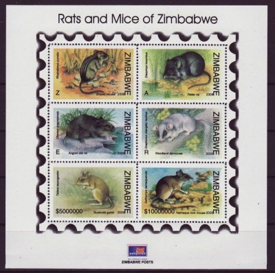 ZIMBABWE 2008 FAUNA ANIMALE ROZATOARE SOARECI foto