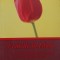 FEMEILE IN ISLAM. COMBATEREA UNOR CONCEPTII GENERALE GRESITE DESPRE ACESTEA-DR. ABDUR-RAHMAN ASH-SHEHA-185946