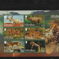 Gibraltar 2012-Fauna,Animale salbatice,Bloc 6 valori dantelate,MNH,Mi.Bl.109