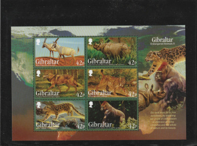 Gibraltar 2012-Fauna,Animale salbatice,Bloc 6 valori dantelate,MNH,Mi.Bl.109 foto
