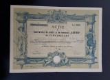 Actiune 1930 Banca ALBINA Sibiu / Institut de credit / titlu de 10 actiuni