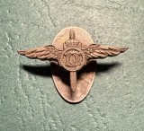 Insigna miniatura Pilot Carol 2
