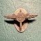 Insigna miniatura Pilot Carol 2