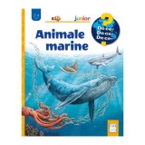 Animale marine, Anita van Saan, Sanna Wandtke, Editura Casa