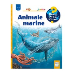 Animale marine, Anita van Saan, Sanna Wandtke foto