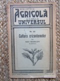 Cultura crizantemelor - Ioan Vranceanu