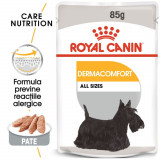 Royal Canin Dermacomfort Adult hrană umedă c&acirc;ine, prevenirea iritațiilor pielii (pate), 12 x 85g