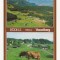 AT3 -Carte Postala-AUSTRIA- Bodele Vorarlberg, necirculata