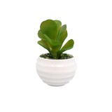 Planta Suculenta Artificiala, Verde, Plastic, 10Cm ComfortTravel Luggage