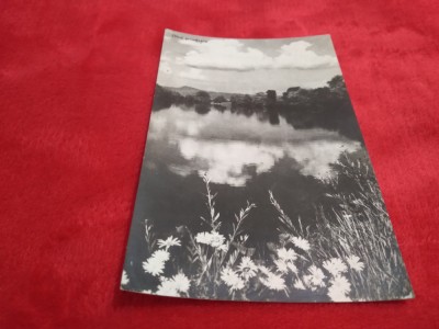 CARTE POSTALA OLTUL PRIMAVARA RARA!!!! CIRCULATA foto