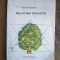 Medicina isihasta - Ghelasie Gheorghe / R1S