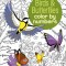 Birds &amp; Butterflies Color by Numbers