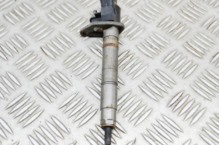 Injector de combustibil LAND ROVER RANGE ROVER SPORT II L494 2017 OEM: FW93-9K546-AB,0445117 17065551