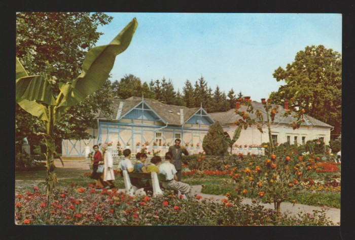 CPIB 17903 CARTE POSTALA - ORADEA - BAILE &quot;VICTORIA&quot;. VEDERE DIN PARC, RPR