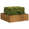 VidaXL Jardinieră Rusty 100x100x30 cm Oțel pentru intemperii 860814