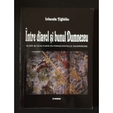 Iolanda Ţighiliu - &Icirc;ntre diavol şi bunul Dumnezeu: cler şi cultură &icirc;n Principate