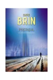 Cumpara ieftin Poştaşul - David Brin