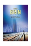 Poştaşul - David Brin