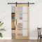 Ușa glisantă cu set de hardware &#039;ORKDAL&#039;78x202 cm
