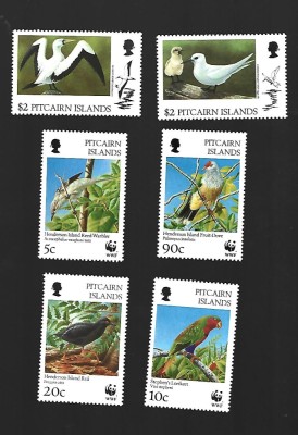 pitcairn pasari mnh foto
