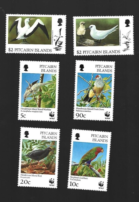 pitcairn pasari mnh
