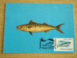 C12 - maxima Romania - tematica pesti 6 - prima zi a emisiunii sau expozitii, Romania de la 1950, Fauna