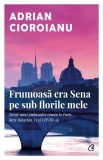 Frumoasa era Sena pe sub florile mele - Adrian Cioroianu