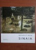 Constantin Buse - Manastirea Sinaia
