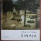 Constantin Buse - Manastirea Sinaia