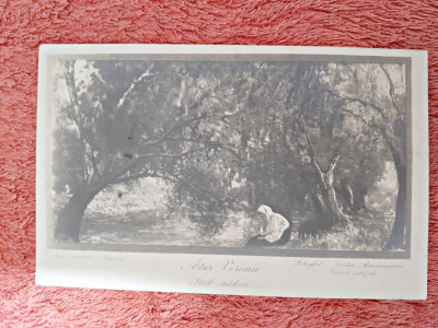 Carte postala, reproducere dupa tabloul Sub Salcii/artur Verona, 1923 foto
