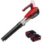 Einhell GP-LB 18/200 Li E PXC + Twinpack - Suflanta de gradina 670 m3/h + Set 2 acumulatori Li-Ion 18 V 4 Ah