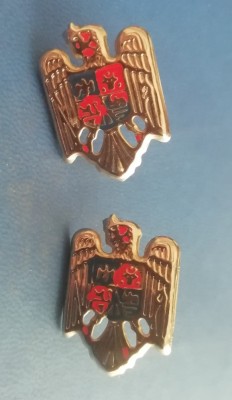 S 28 - semne de arma - metalice - servicii informatii - argintii foto