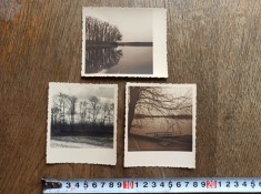 LOT 3 FOTOGRAFII ARTISITICE IN NATURA, CCA 1930-1940