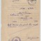 Romania, Sectiunea Financiara, Certificat, Craiova, 1951