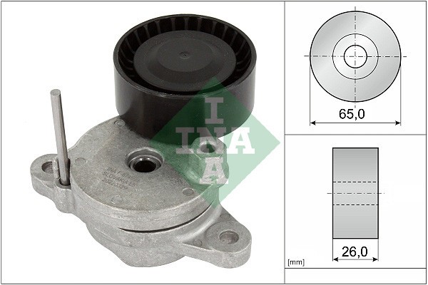 INA 534 0795 10 Intinzator curea, curea distributie