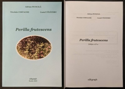 Menta PERILLA FRUTESCENS Shiso Descrierea Botanica Uleiuri Terapeutica Culinar foto