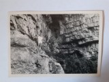 Fotografie dimensiune CP cu un bărbat &icirc;n zonă st&acirc;ncoasă