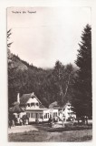 RF65 -Carte Postala- Vedere din Tusnad, necirculata