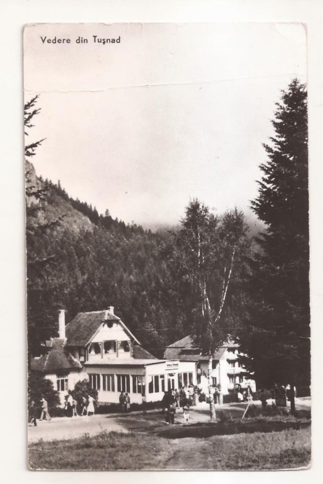 RF65 -Carte Postala- Vedere din Tusnad, necirculata