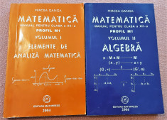 Matematica 2 Volume. Manual pentru clasa a XII-a Profil M1 - Mircea Ganga foto