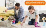 Set de perie si pieptene pentru parul animalelor Yomersiah, silicon/metal/lemn, argintiu/natur/gri
