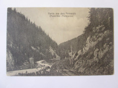 Rara! Pojorata/Pozoritta(Suceava)-Valea Putnei,carte po?tala necircu.cca 1910 foto