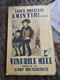 AMINTIRI... VINURILE MELE PRITOCITE DE GABY MICHAILESCU - IANCU BREZEANU