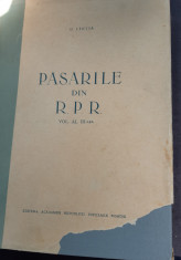 PASARILE DIN RPR D LINTA VOLUMUL III foto