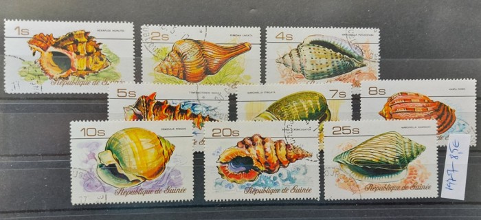 TS21 - Timbre serie Guinea - Scoici - acvatic 1977