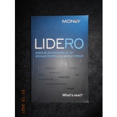 LIDERO. OAMENI DE AFACERI ROMANI DE TOP DEZVALUIE SECRETELE DIN SPATELE CIFRELOR