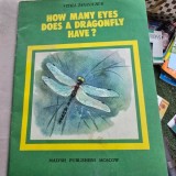 How many eyes does a dragonfly have? - Vitali Tanasychuk